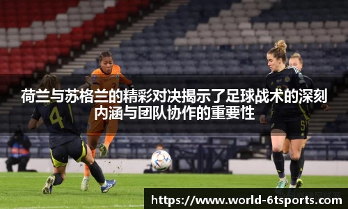 6T体育平台